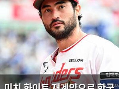 미치 화이트 재계약으로 한국 무대 잔류 확정