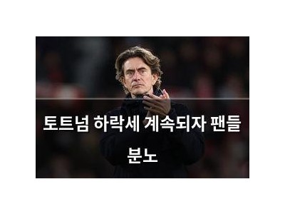 토트넘 하락세 계속되자 팬들 분노