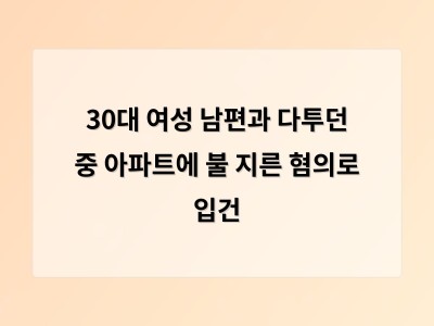 30대 여성 남편과 갈등 중 두 살배기 아이가 있던 집에 불 지르다 붙잡혀