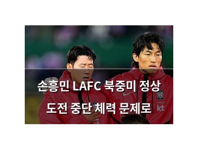 손흥민 LAFC 북중미 정상 도전 중단 체력 문제로