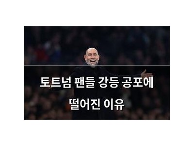 토트넘 팬들 강등 공포에 떨어진 이유