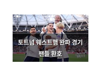 토트넘 웨스트햄 완파 경기 팬들 환호