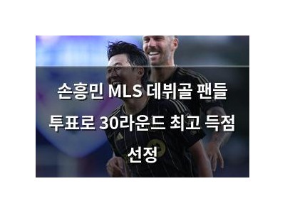 손흥민 MLS 데뷔골 팬들 투표로 30라운드 최고 득점 선정